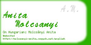 anita molcsanyi business card